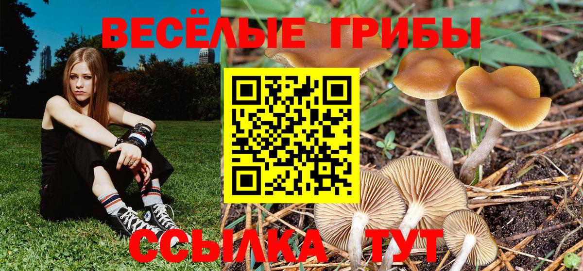 Галлюциногенные грибы MAGIC MUSHROOMS Углич